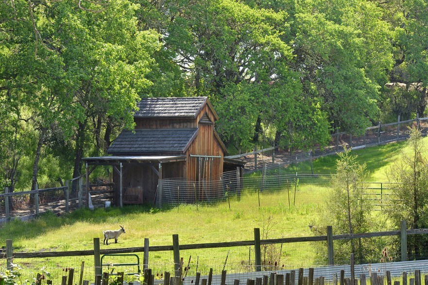 More Photos Of 14600 S Highway 101, Hopland Winery Vineyard For Sale