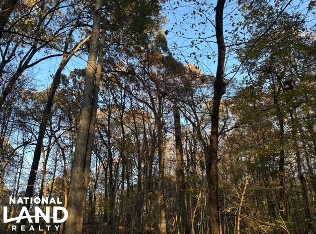 More Photos Of HWY 301, Horn Lake Land For Sale