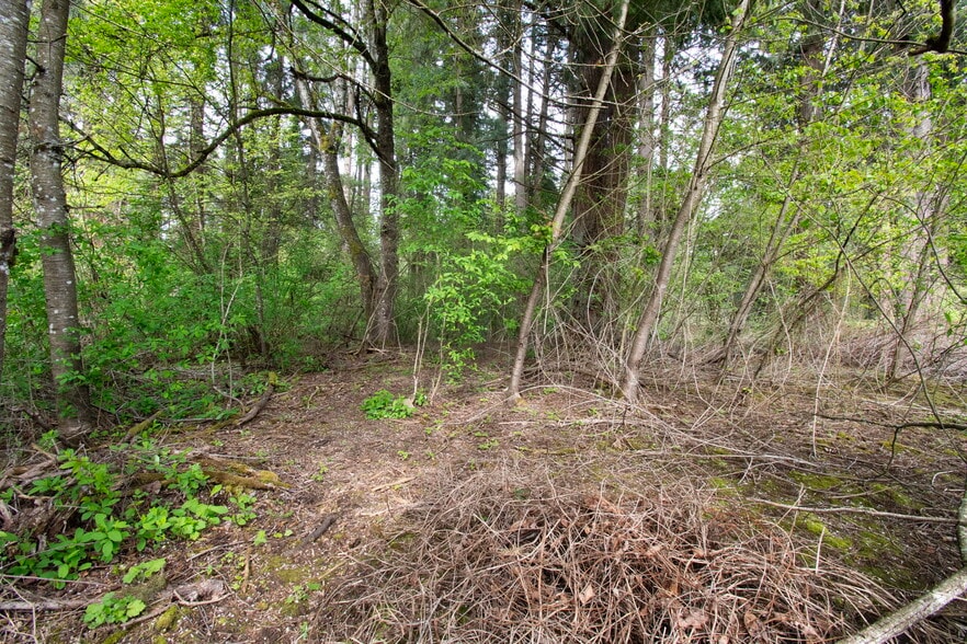 More Photos Of 0 45th Avenue, Vancouver Land For Sale