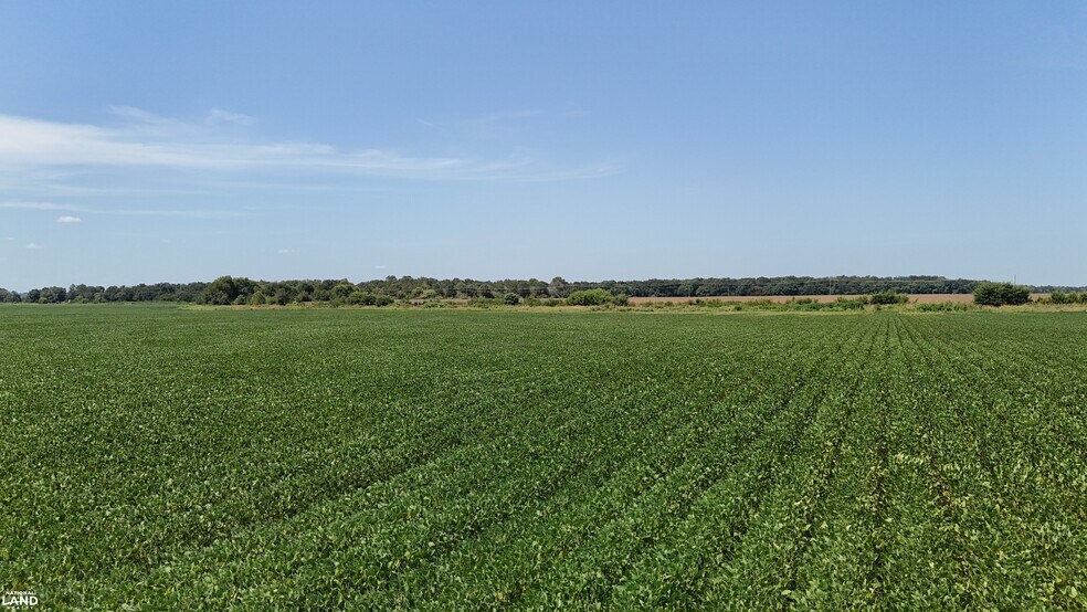 More Photos Of 1120 Highway 165 N, Stuttgart Land For Sale