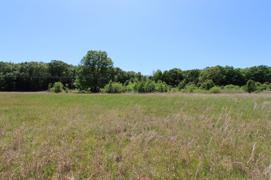 More Photos Of 278 Highway 64 E, Conway Land For Sale