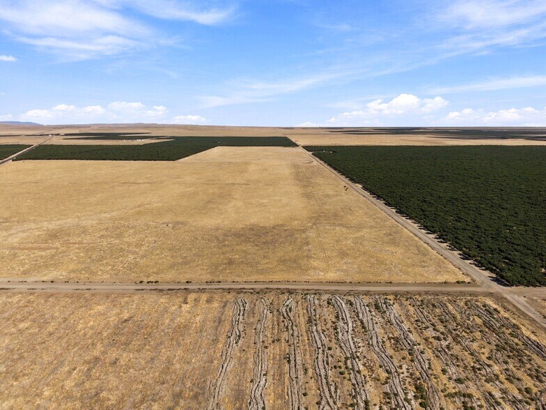 More Photos Of 12678 CA-33 hwy, Lost Hills Land For Sale