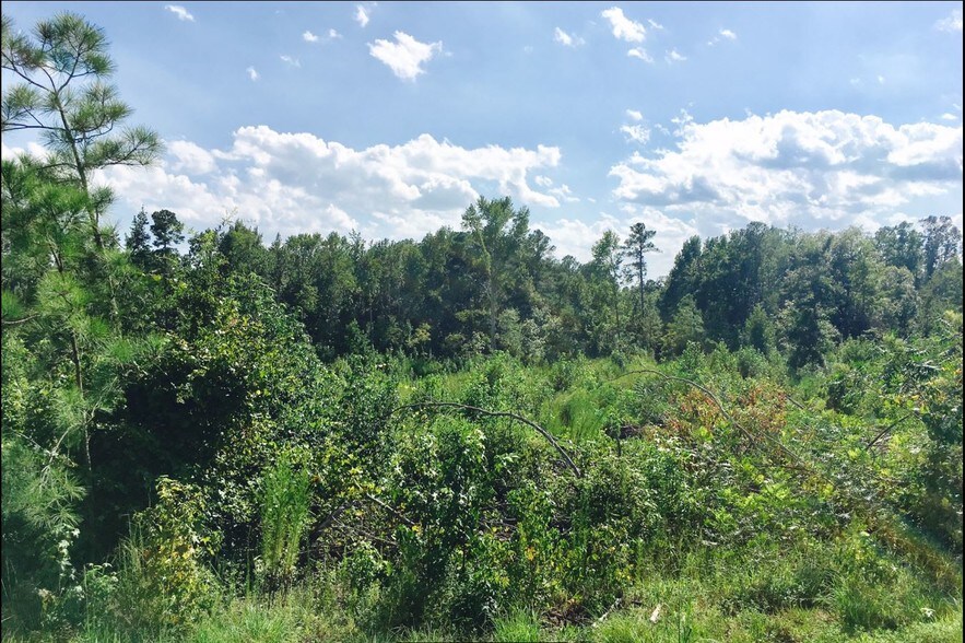 More Photos Of NC Hwy 24 87, Cameron Land For Lease