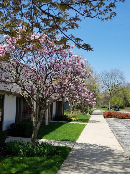 More Photos Of 1117 S Milwaukee Ave, Libertyville Unknown For Lease