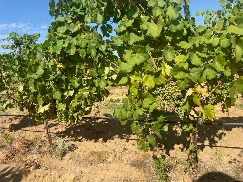 More Photos Of Fort Tejon Rd, Littlerock Land For Sale