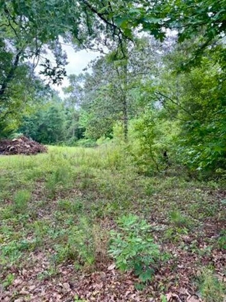 Primary Photo Of TBD Possum Trot ln, Pitkin Land For Sale