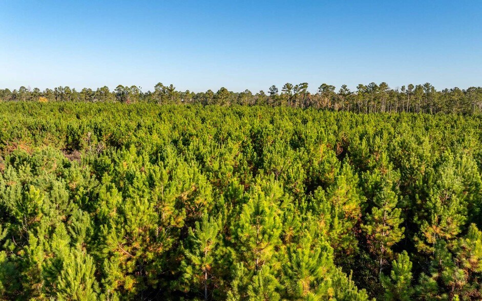 More Photos Of CR 137, Wellborn Land For Sale