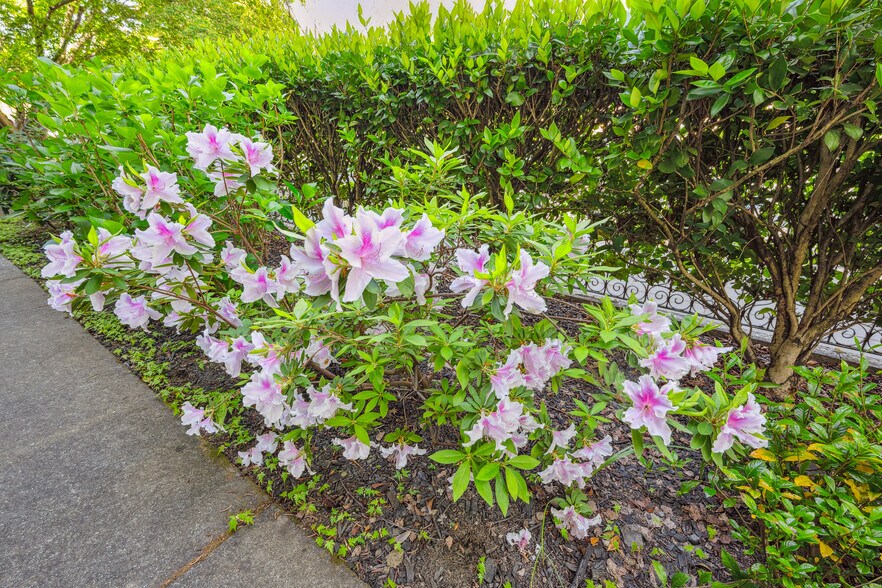 More Photos Of 1645 Main St, Napa Apartments For Sale