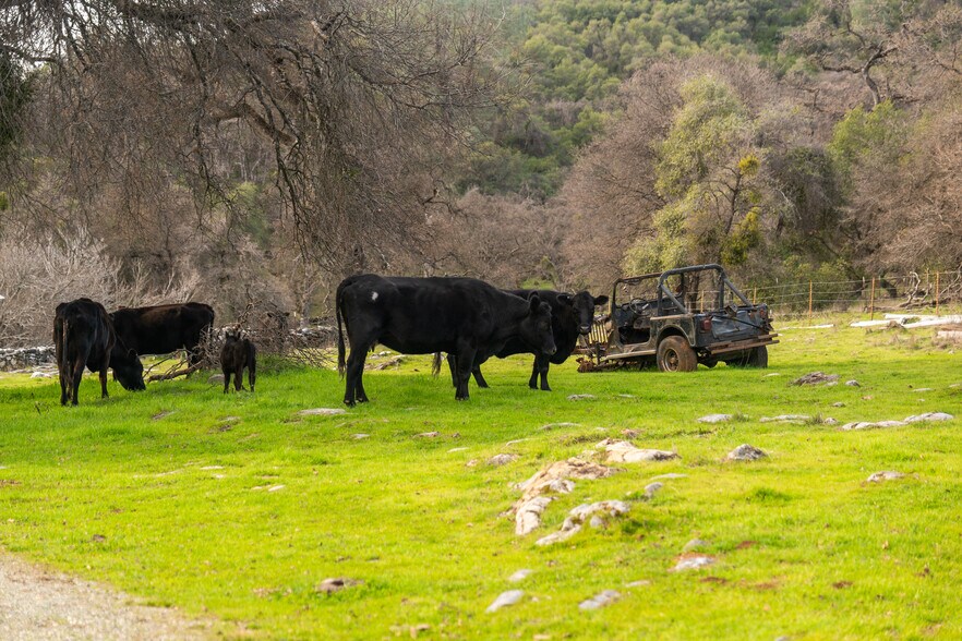More Photos Of Skunk Gulch Rd, Vallecito Land For Sale
