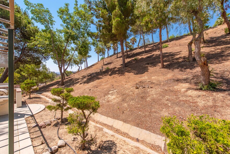 More Photos Of 8450 Waters Rd, Moorpark Land For Sale