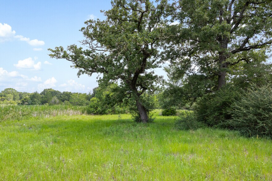 More Photos Of 11480 N Dowling Rd, College Station Land For Sale