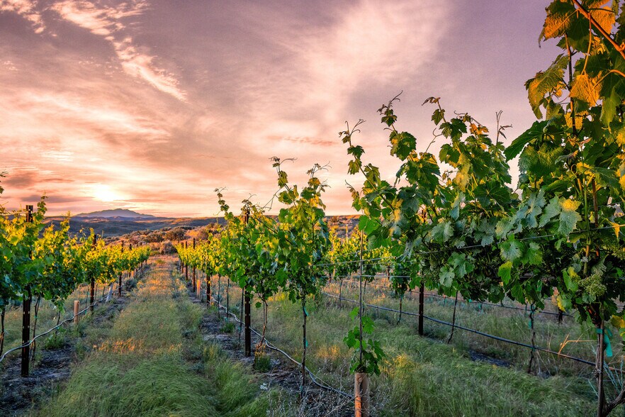 More Photos Of 5446 N 16 Hwy, Eagle Winery Vineyard For Sale