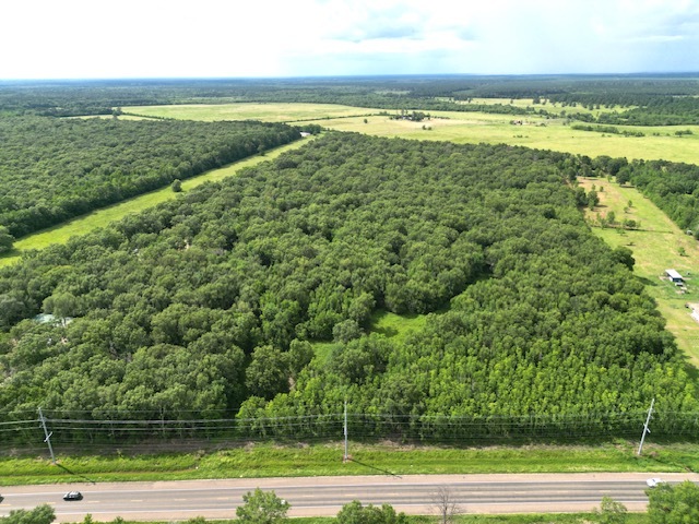 Primary Photo Of 40953 TX-105, Batson Land For Sale