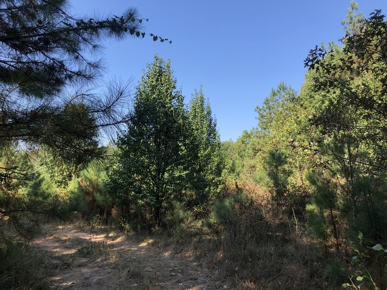 More Photos Of 5645 GA Highway 20, Loganville Land For Sale