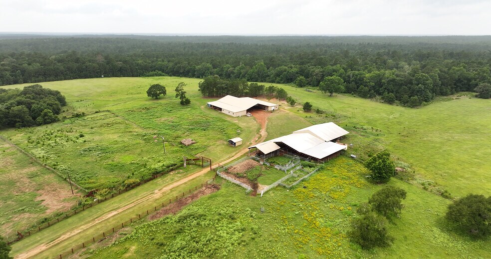 More Photos Of 44 Bucking Bull Rd, New Waverly Land For Sale