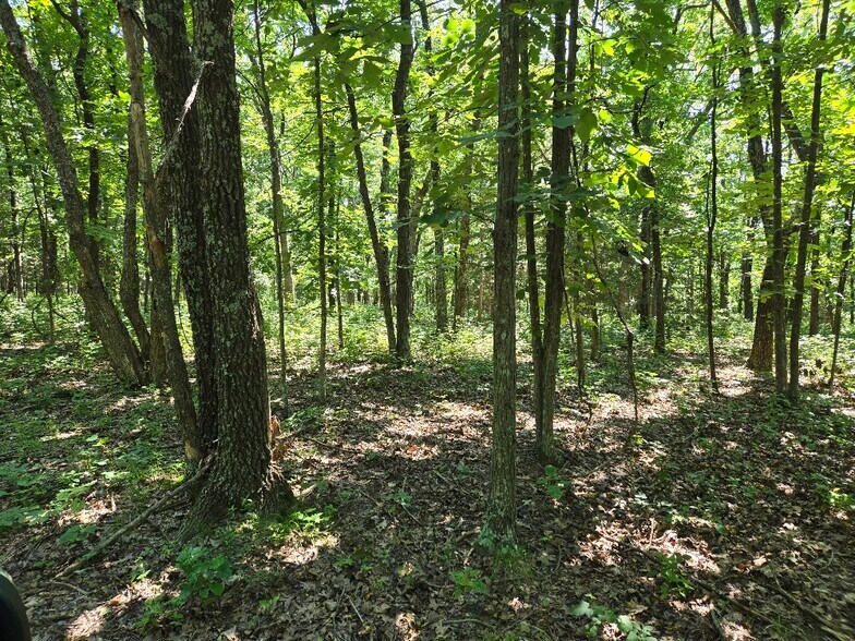 More Photos Of 20765 State Highway 42, Belle Land For Sale