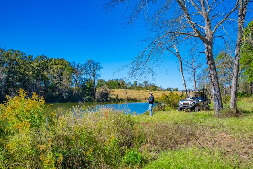 More Photos Of 391 Farm to Market 1519, Scroggins Land For Sale