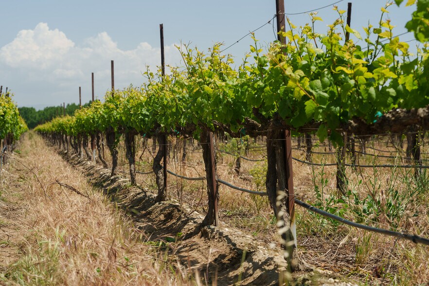 More Photos Of 41460 Los Coches Rd, Soledad Land For Sale