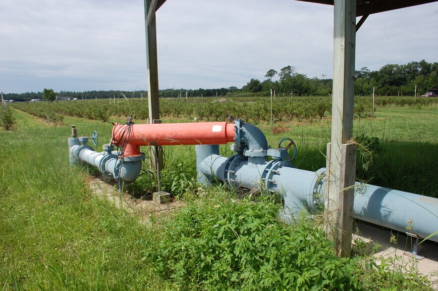 More Photos Of 18811 SE 243rd St, Hawthorne Specialty For Sale