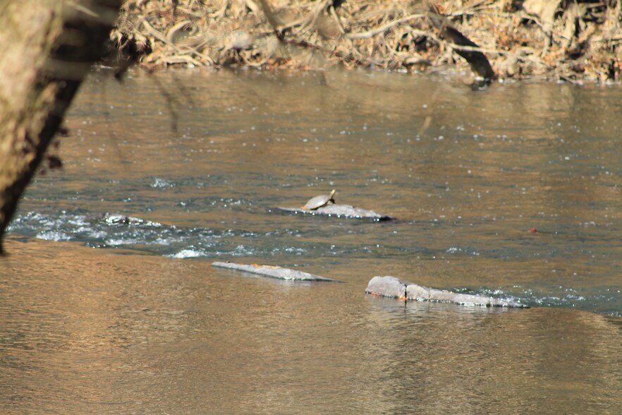 More Photos Of 5690 Rocky Mount Church Rd, Polkton Land For Sale