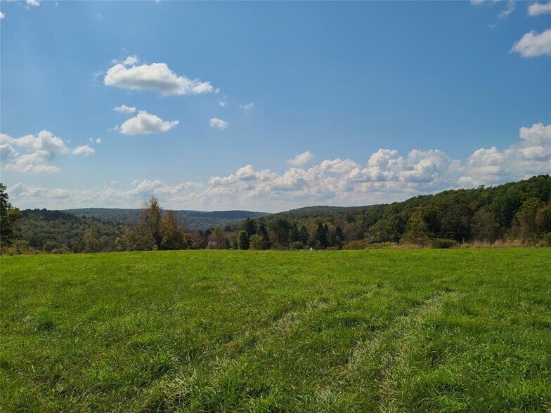More Photos Of 356 Gabel Rd, Callicoon Land For Sale