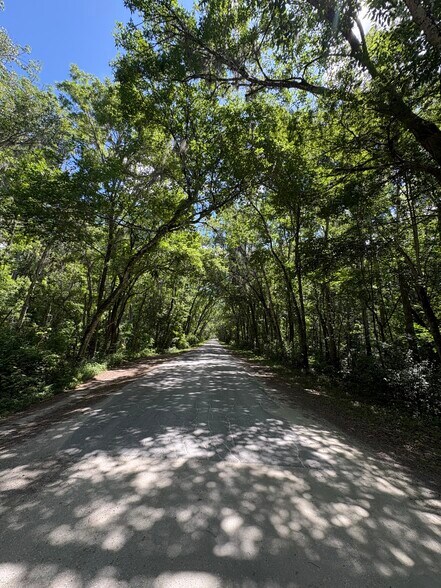 More Photos Of Lake Panasoffkee, Lake Panasoffkee Land For Sale