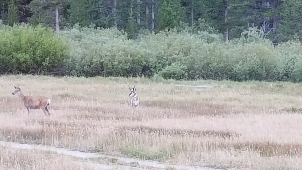 More Photos Of TBD Fisher Creek Loop, Stanley Land For Sale