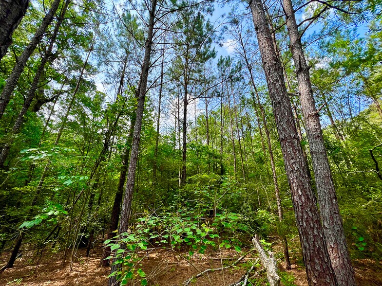 More Photos Of 2700 Ford Chapel, Lufkin Land For Sale