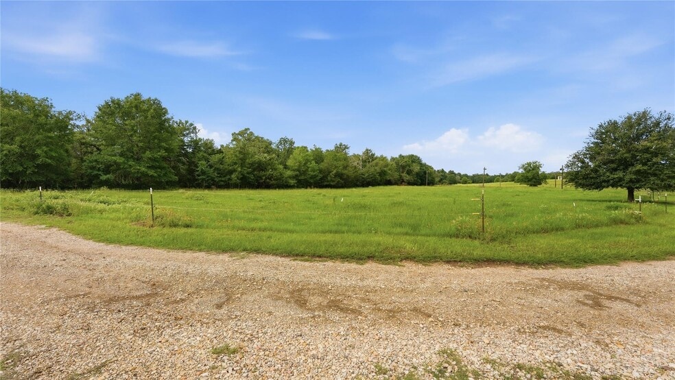 More Photos Of 632 County Road 340A, Milano Land For Sale