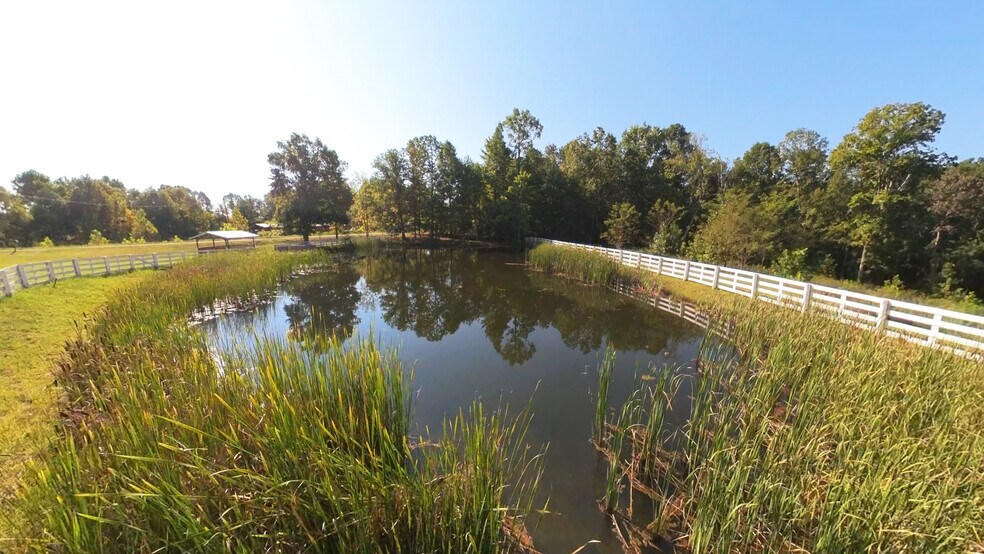 More Photos Of 851 Webb Ln, Olive Hill Land For Sale