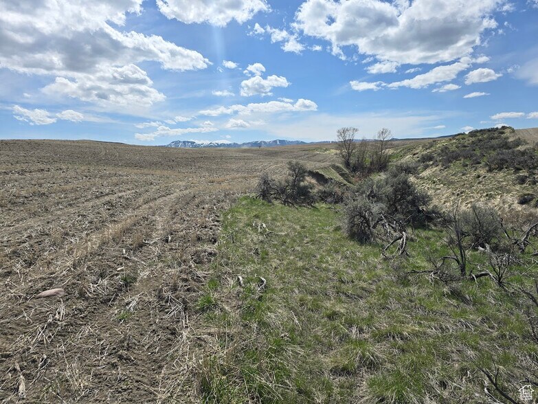 More Photos Of 4700 5800 S w, Weston Land For Sale