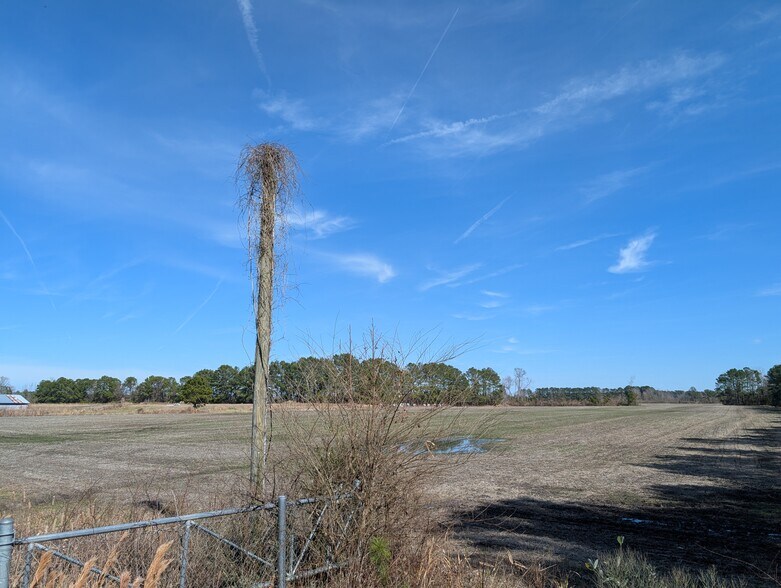 More Photos Of 522 Plum Nearly Ln, Trenton Land For Sale