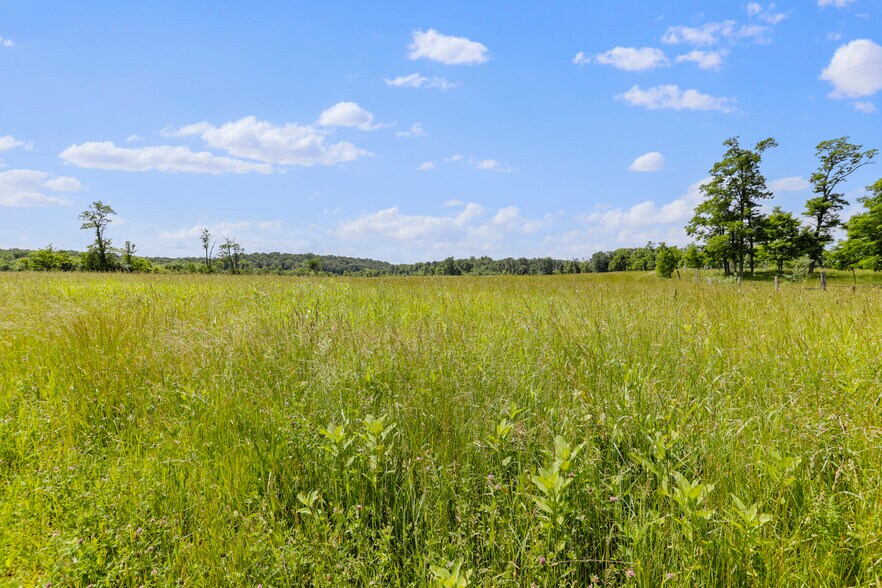 More Photos Of 3648 Dominion Rd, Gerrardstown Land For Sale