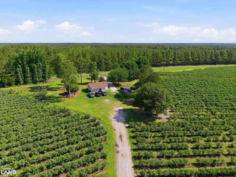 More Photos Of 5478 Halfway Branch School rd, Ivanhoe Land For Sale