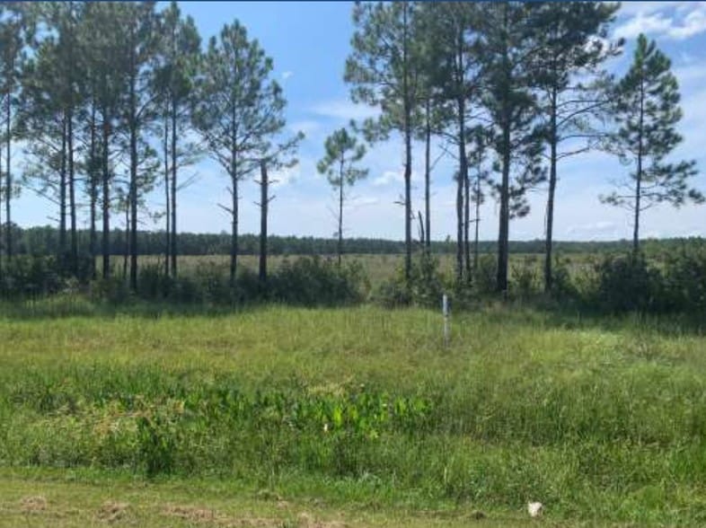 13431 Highway 603, Kiln, MS 39556 Land For Sale