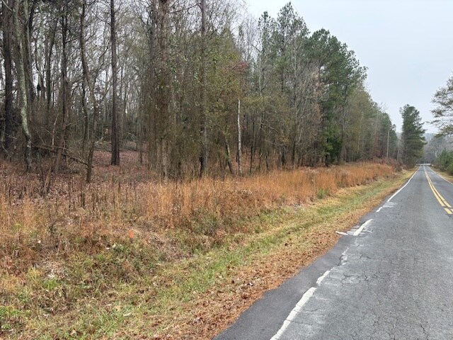 Primary Photo Of 3 Smoak Dr A Dr, Easley Land For Sale