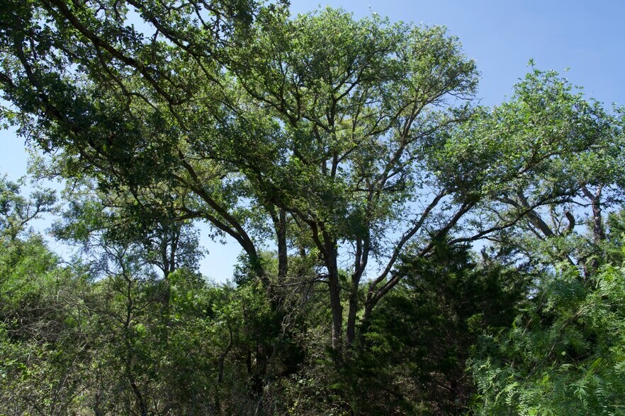 More Photos Of 00 Taylorsville Rd, Red Rock Land For Sale