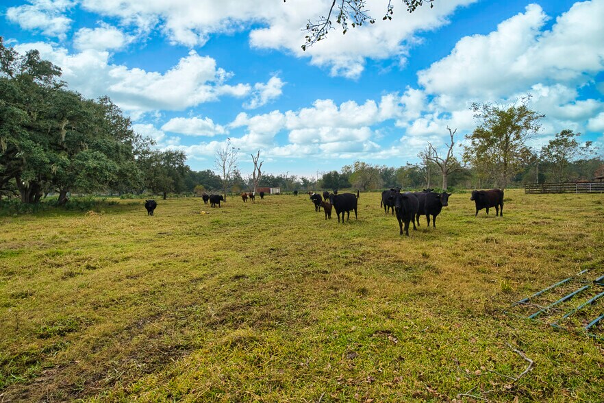 More Photos Of 3559 FM 521 Rd, Brazoria Specialty For Sale