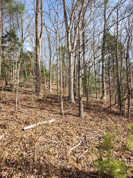 More Photos Of Lot 69 Plantation, Montross Land For Sale