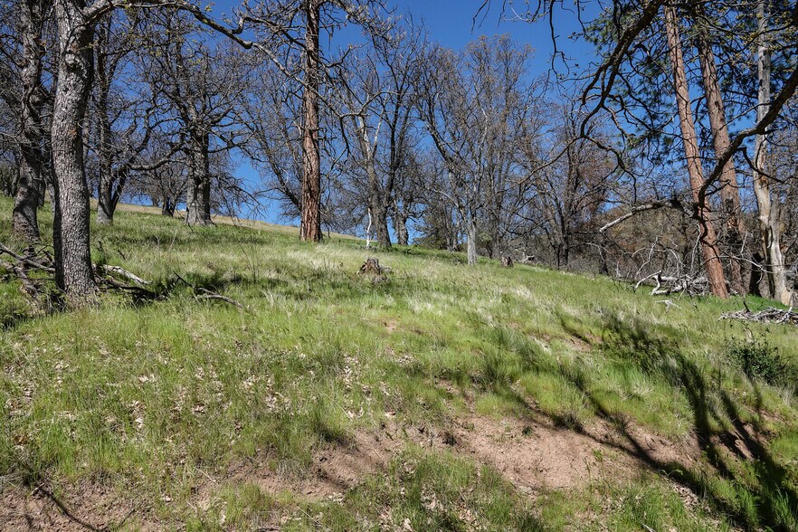 More Photos Of 13317 McAdams Creek Rd, Fort Jones Land For Sale