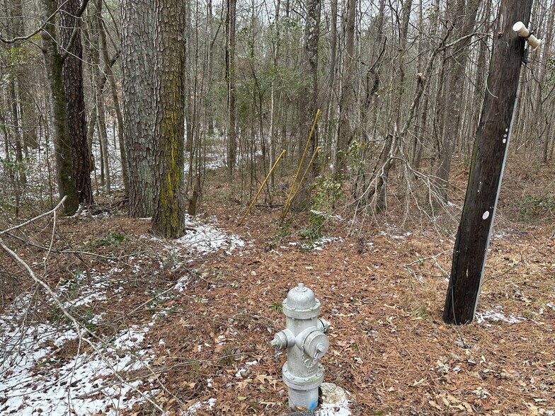 Primary Photo Of 3900 S Rockbridge Rd, Stone Mountain Land For Sale