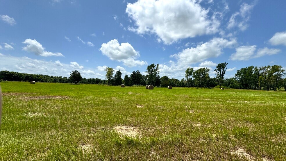 More Photos Of 13530 FM 773, Ben Wheeler Land For Sale