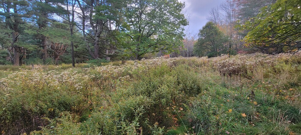 More Photos Of 1195 State Route 17B, Bethel Land For Sale
