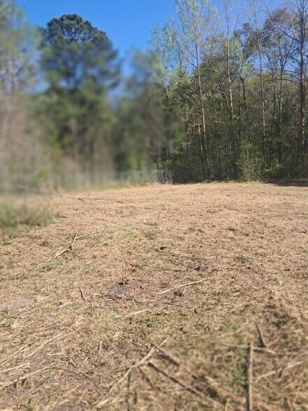 More Photos Of 334 Isaac Stevens Rd, Midway Land For Lease
