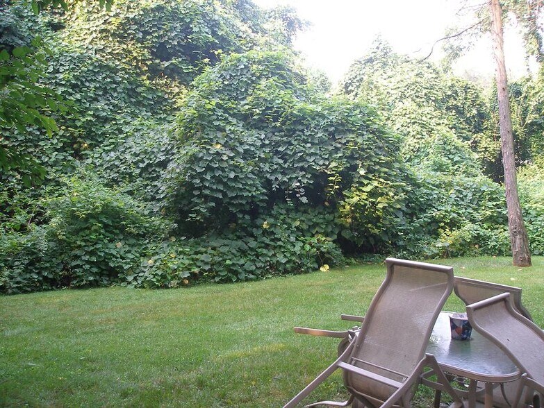 More Photos Of 360 Western Hwy, Tappan Apartments For Sale