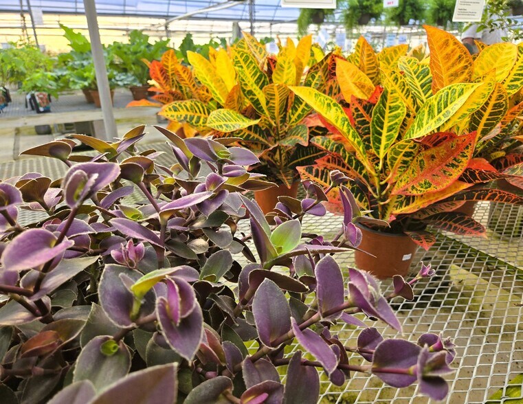 More Photos Of 22085 580th Ave, Ames Specialty For Sale