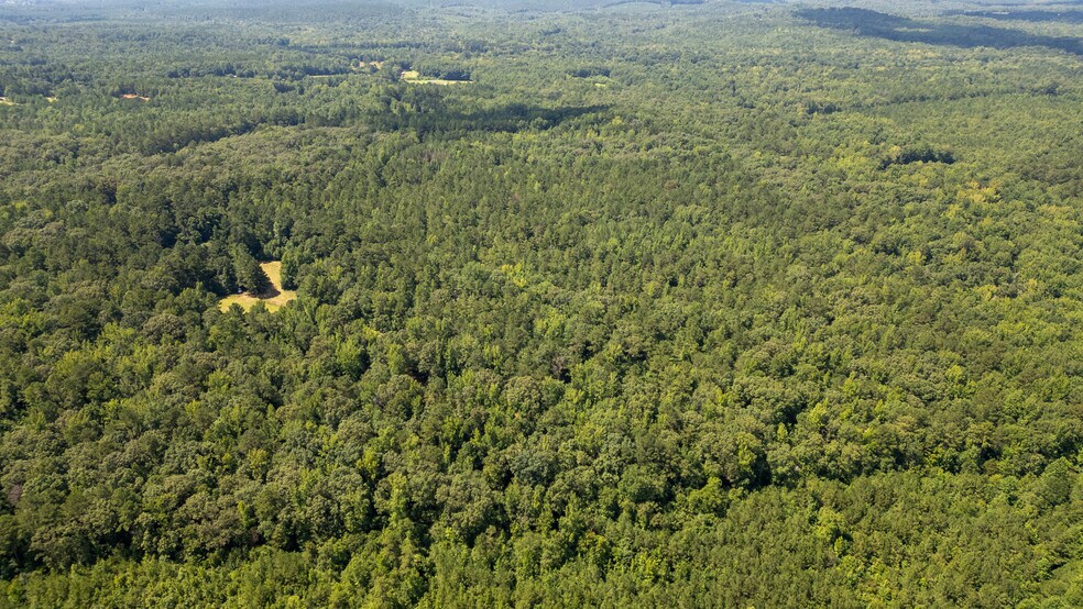 More Photos Of 17796 Dry Branch loop, Northport Land For Sale