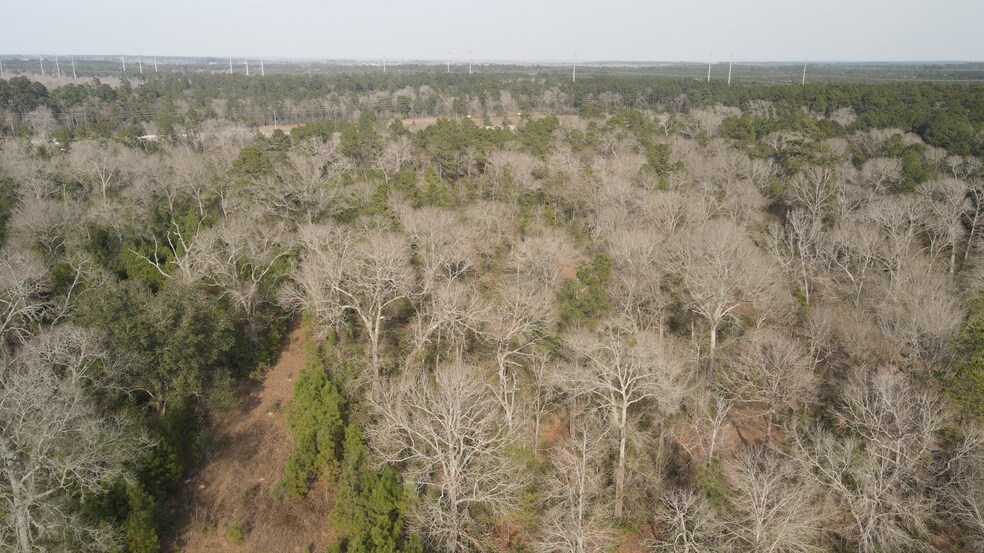 More Photos Of SH 249 Aggie Expy, Navasota Land For Sale