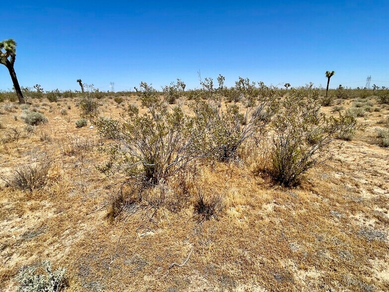 More Photos Of Nevada Rd @ South St., Phelan Land For Sale