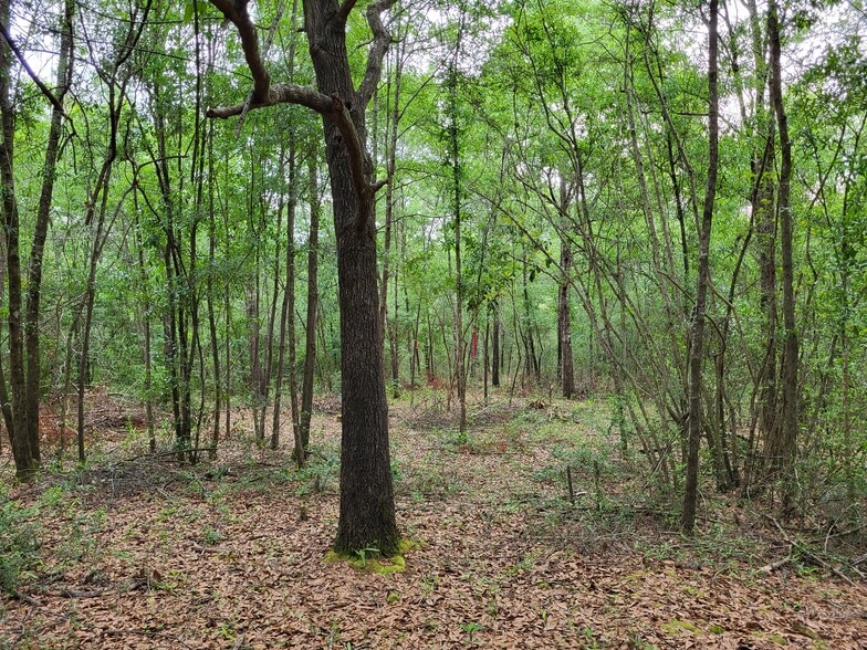 More Photos Of 301 E Redstone Ave, Crestview Land For Sale